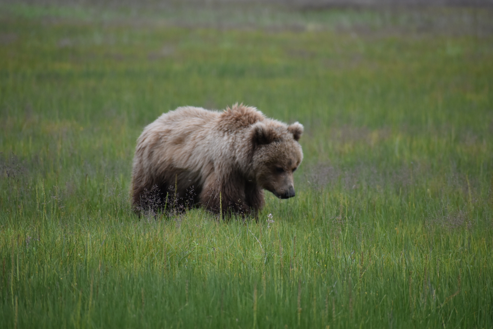 Un sweat avec 20 euros